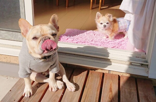 ロングステイ、ジョナ君・ロック君☆（前半）