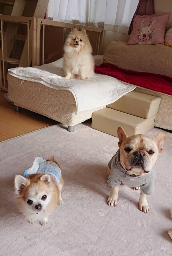 ロングステイ、ジョナ君・ロック君☆(後半)