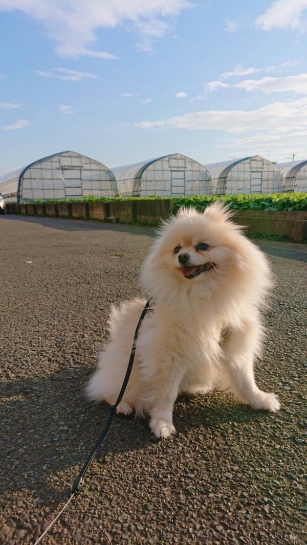 お引越しハント君☆（前半）