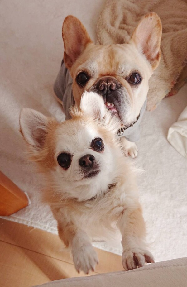 アゲインのジョナ君・ロック君☆