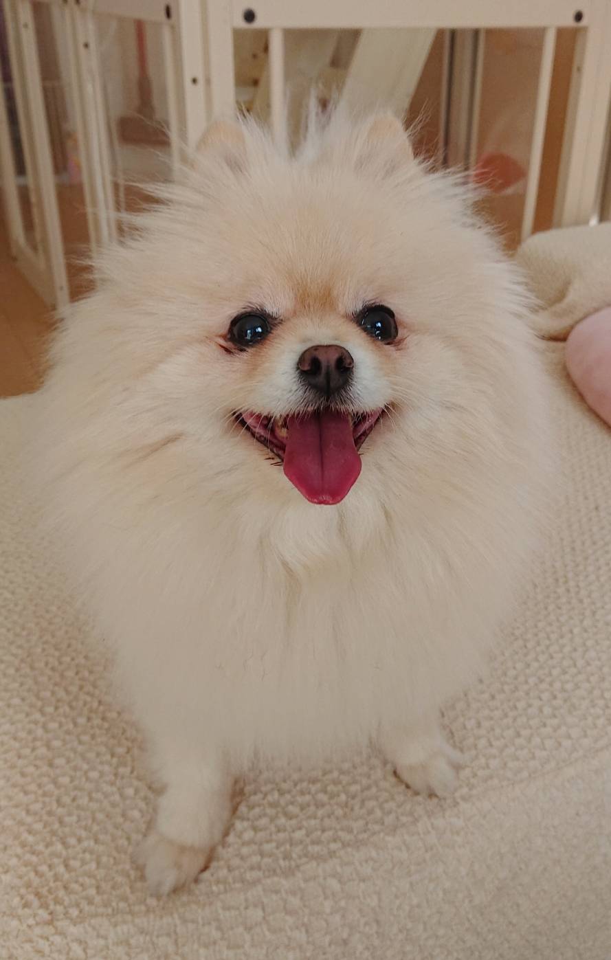 お引越しハント君☆(後半)