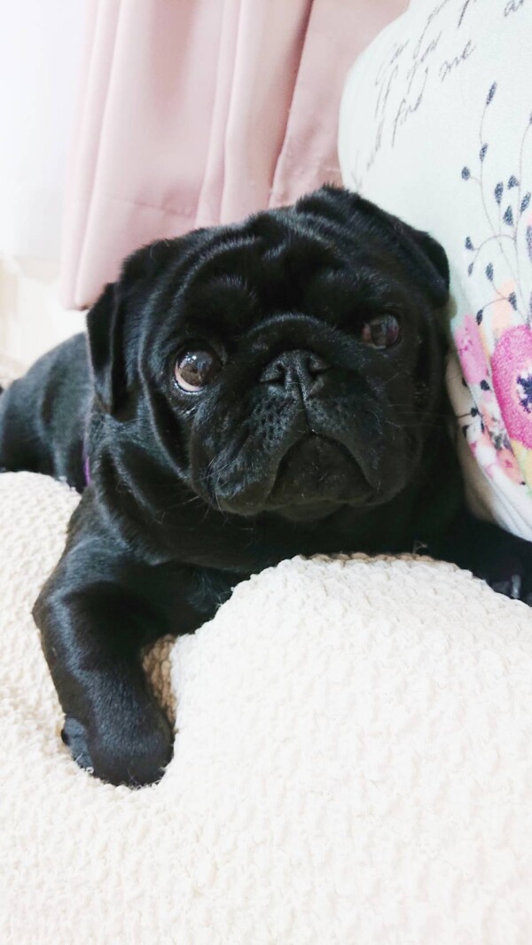 年越しもずくちゃん☆