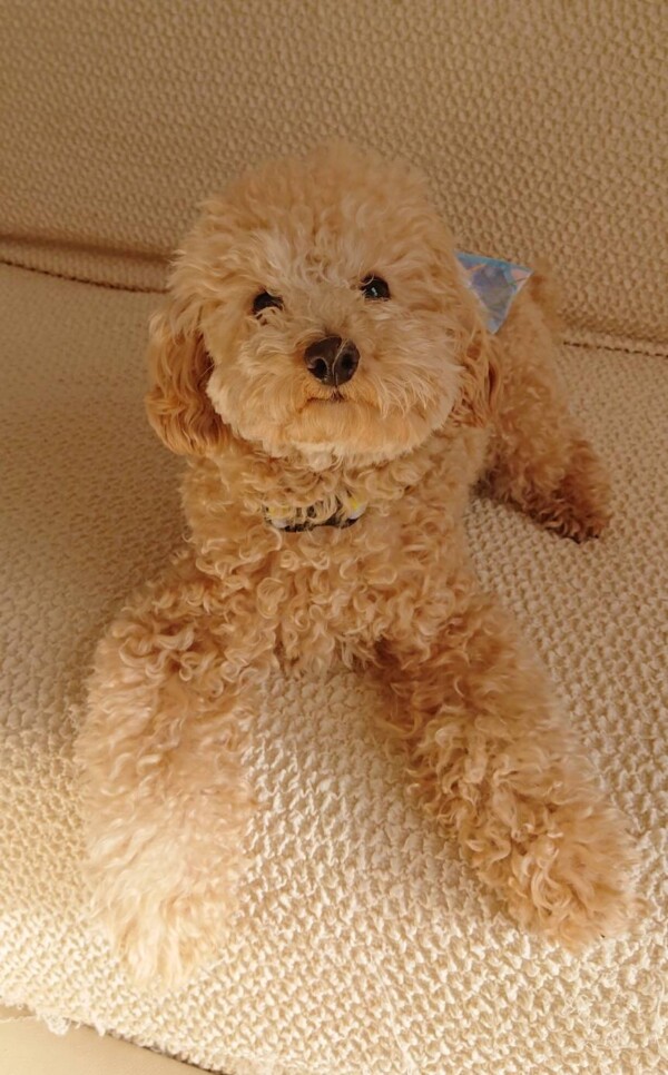 リピートのマメ君☆