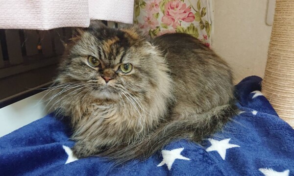 ガン君・メンディーちゃん・おとちゃん☆