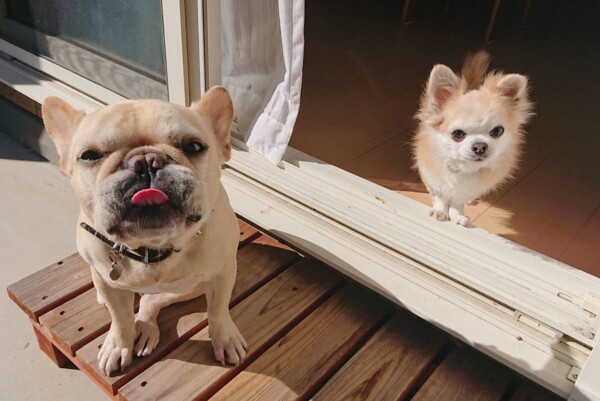今年初のジョナ君・ロック君☆