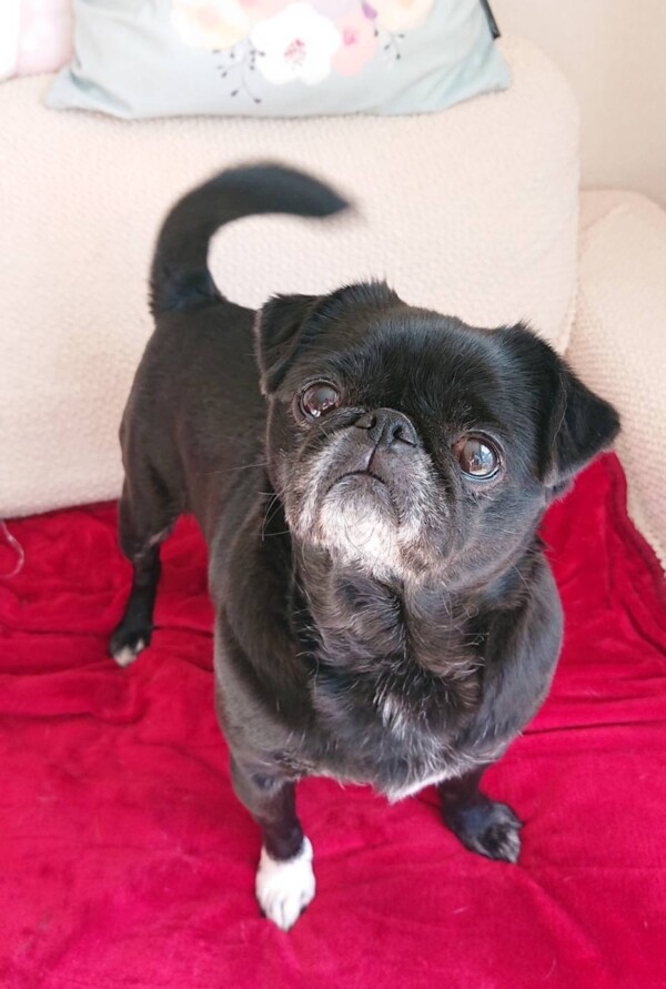 いつもご機嫌ハナちゃん☆