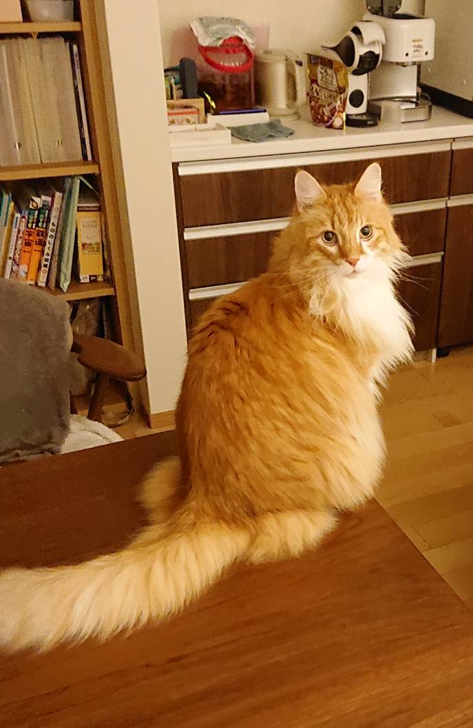 リピートのアレックス君・フェリックス君☆