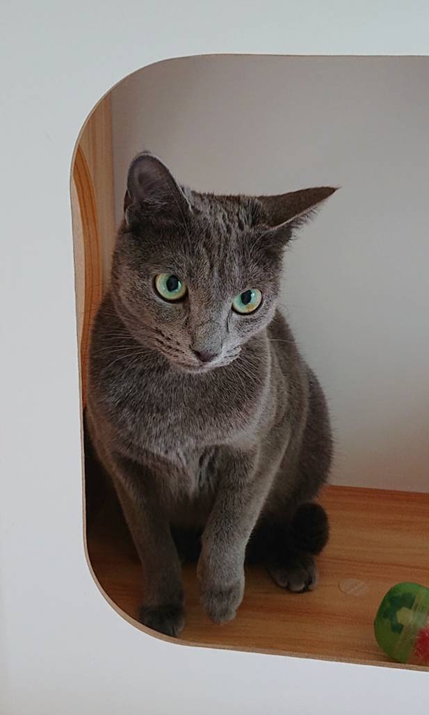 ご機嫌悪めアナスタシアちゃん☆