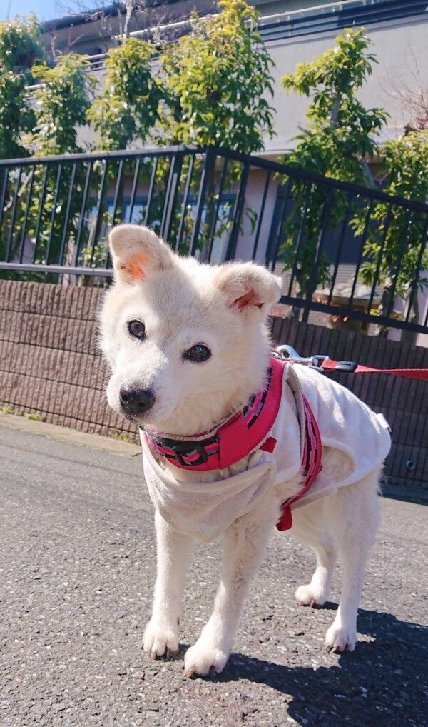 お引越し、くぅちゃん☆