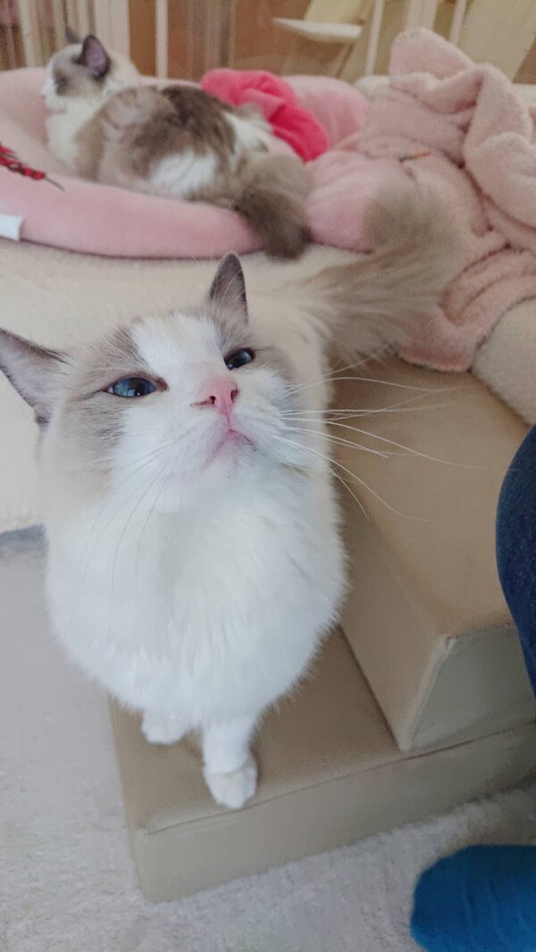 今年も里帰りルナちゃん☆