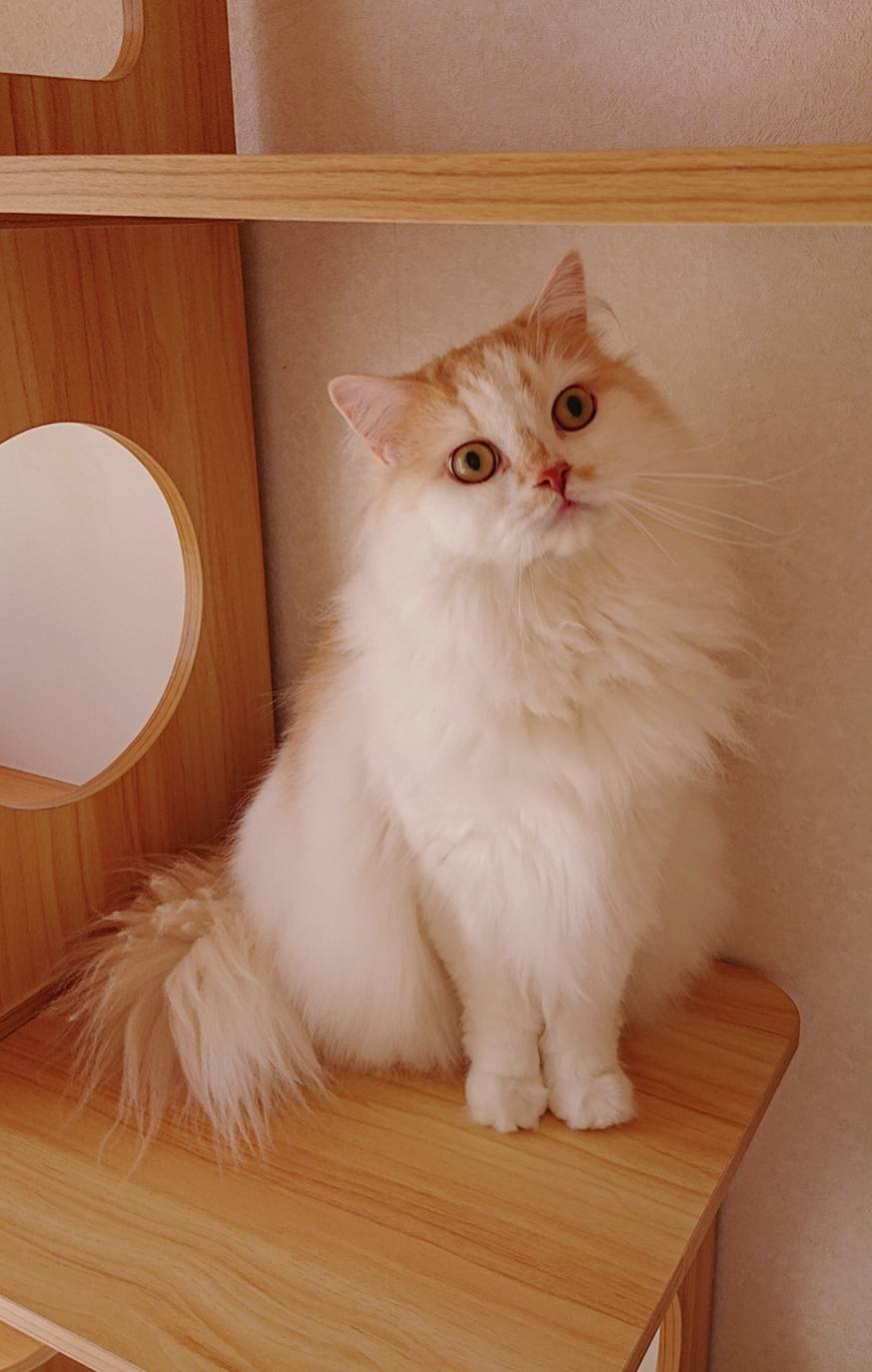 いつも通りのモモ君☆