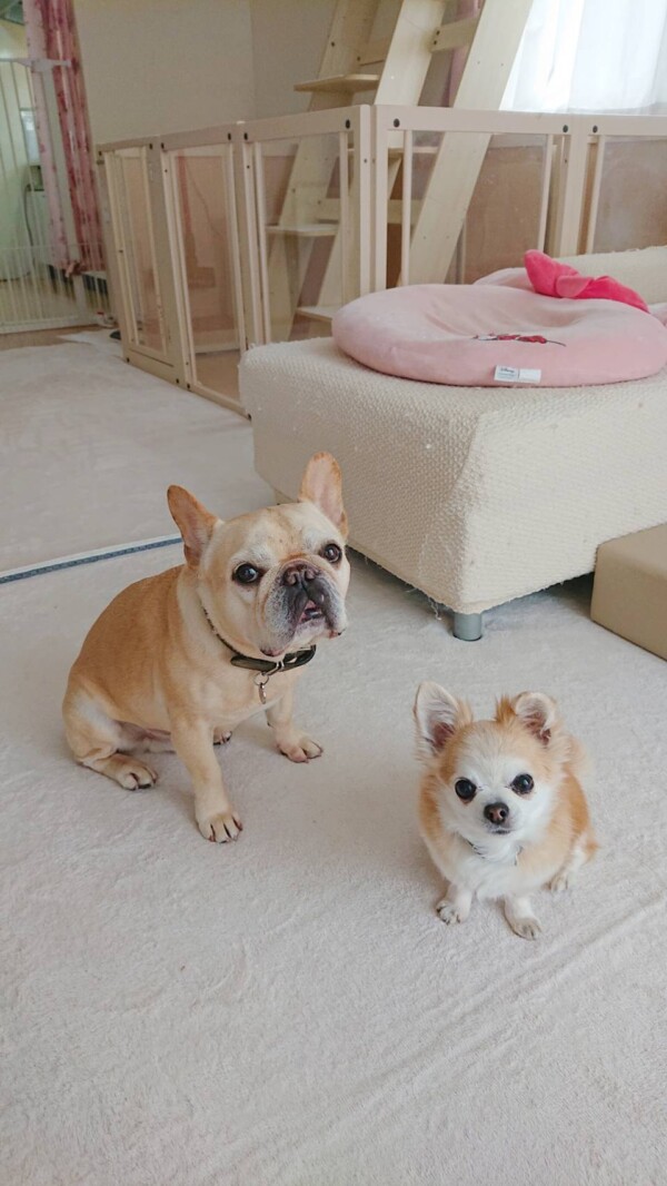 お馴染みジョナ君・ロック君☆