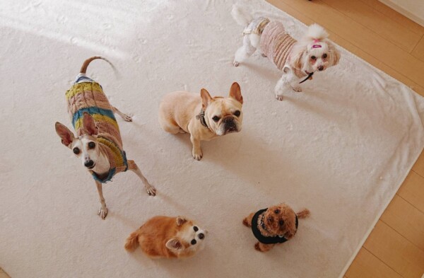 お友達たくさんバーニー君☆