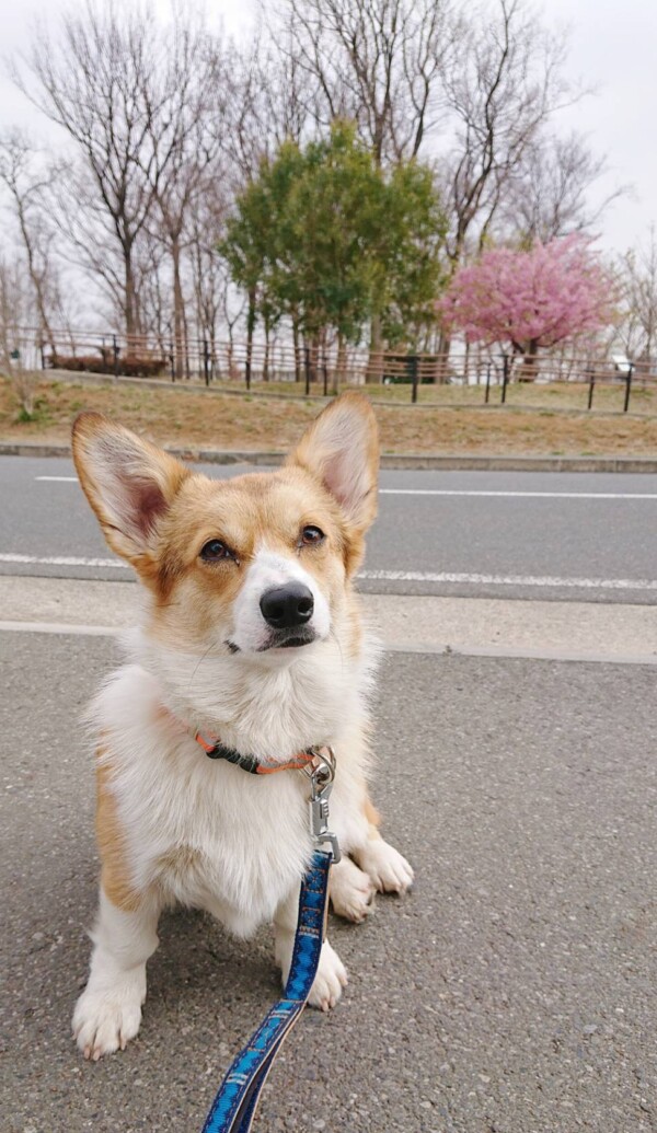 リピートむぅちゃん☆