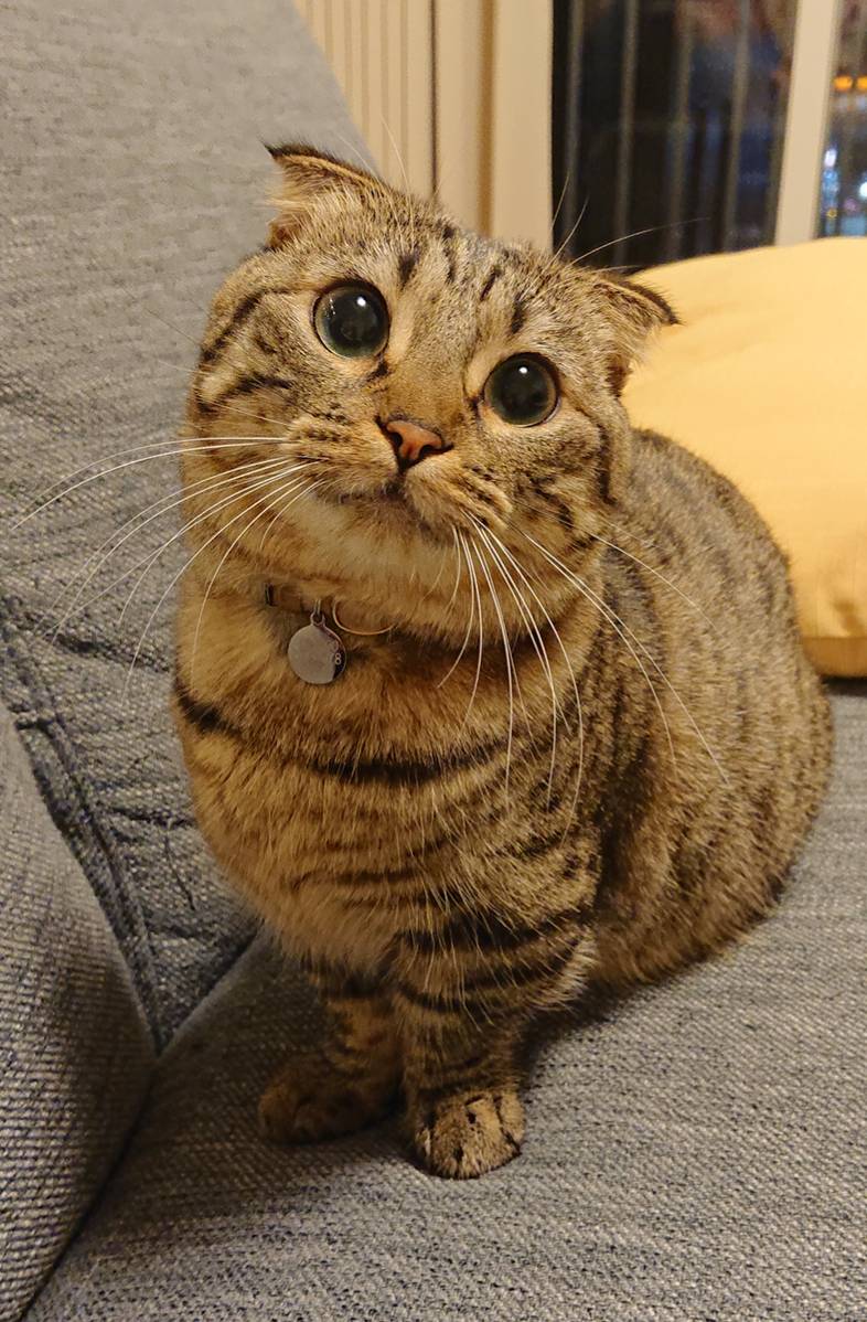 リピートたみこちゃん☆