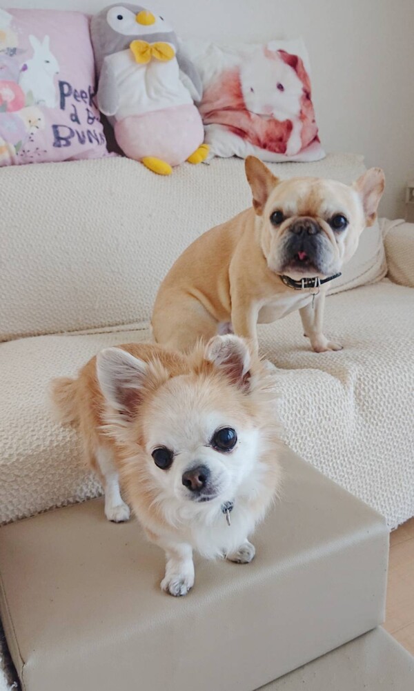 第2の家ジョナ君・ロック君☆