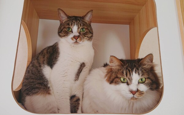 ルルー君・アンジュちゃん☆