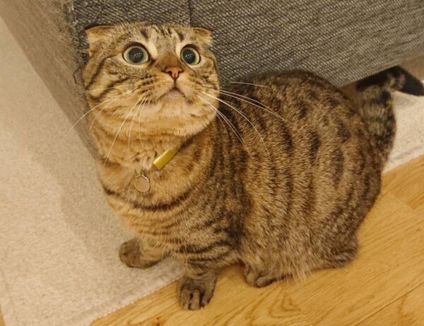 元気たみこちゃん☆