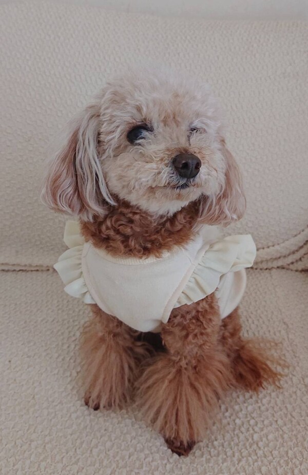 貸し切りエルモ君☆