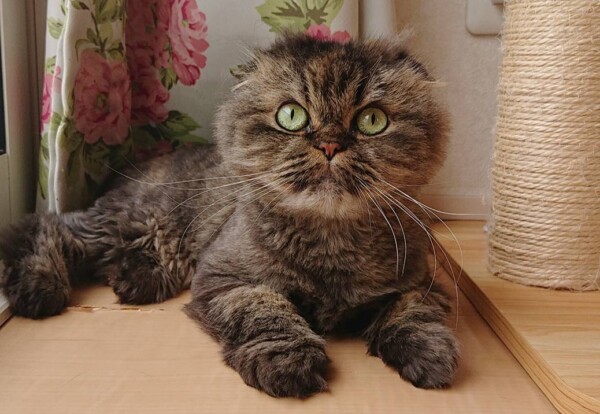 ガン君・メンディーちゃん・おとちゃん☆