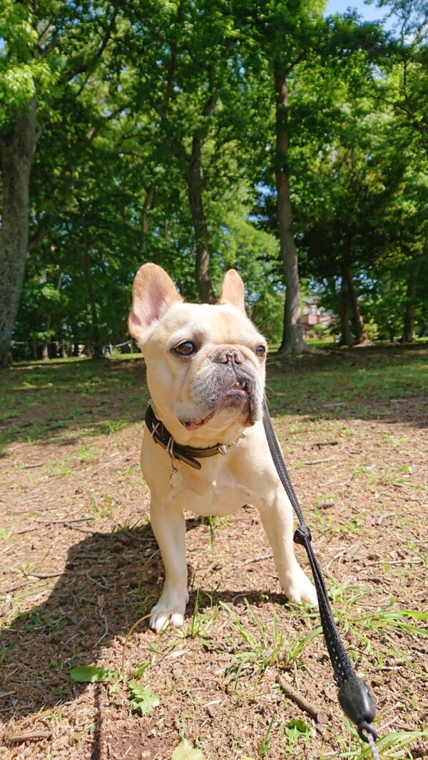 GWのジョナ君・ロック君☆