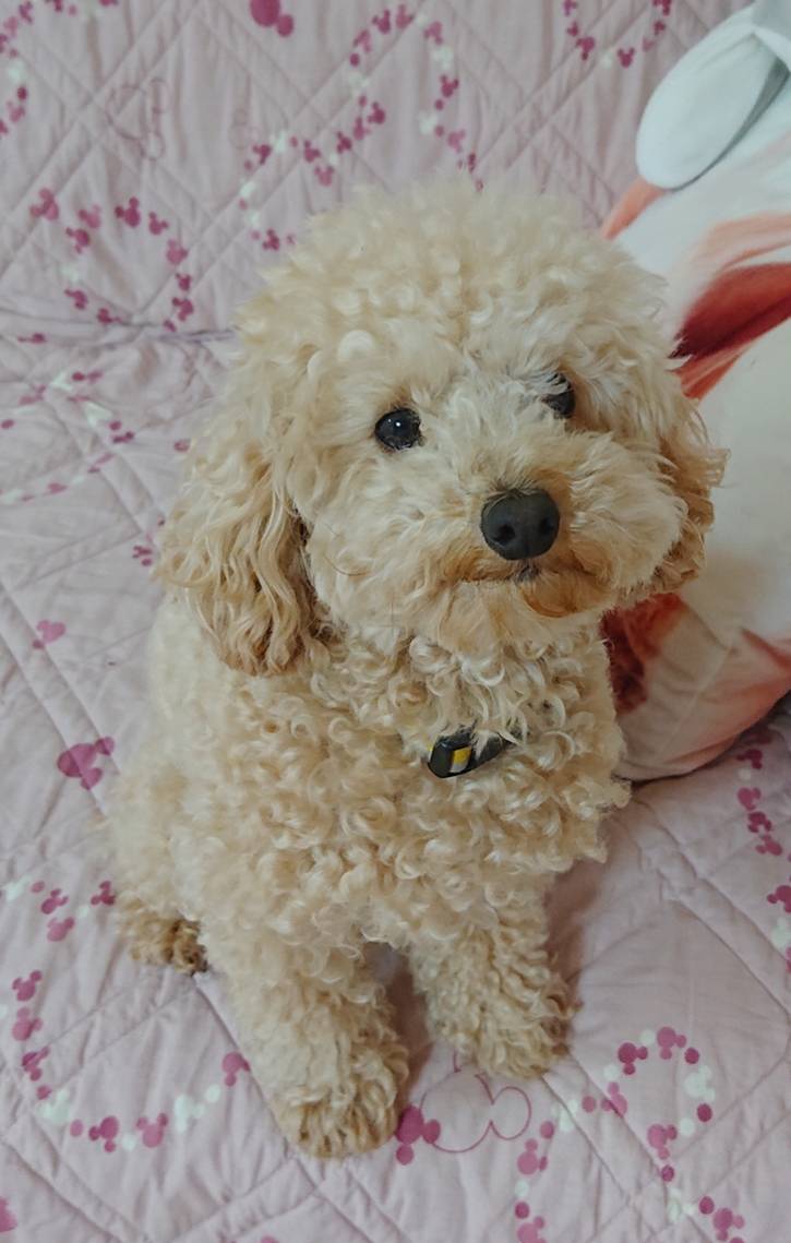 成長したマメ君☆