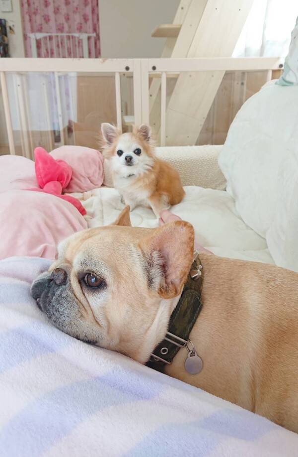 ロングお散歩ロック君・ジョナ君☆