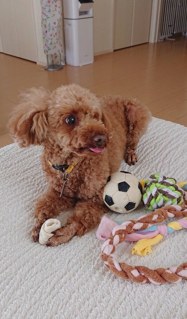 １日独占カイ君☆