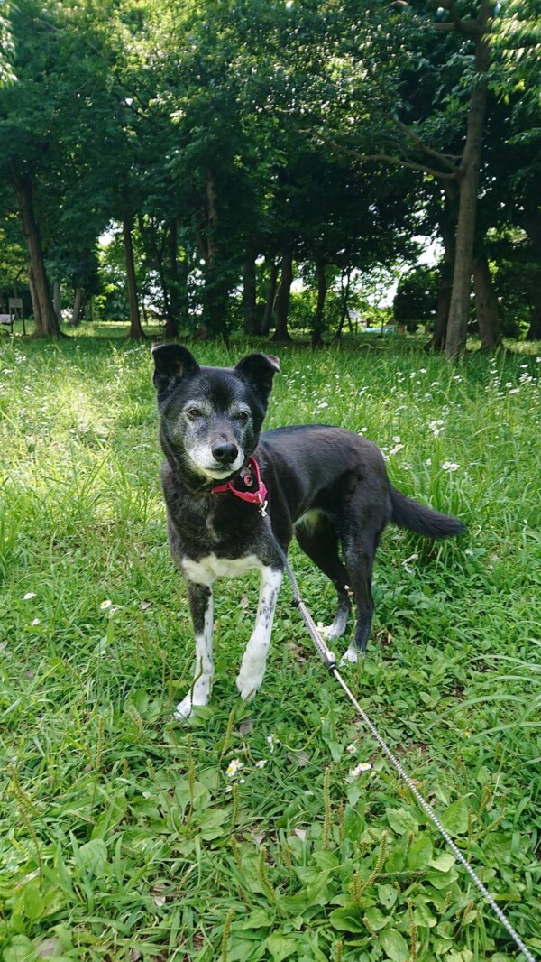 4年ぶりさくらちゃん☆