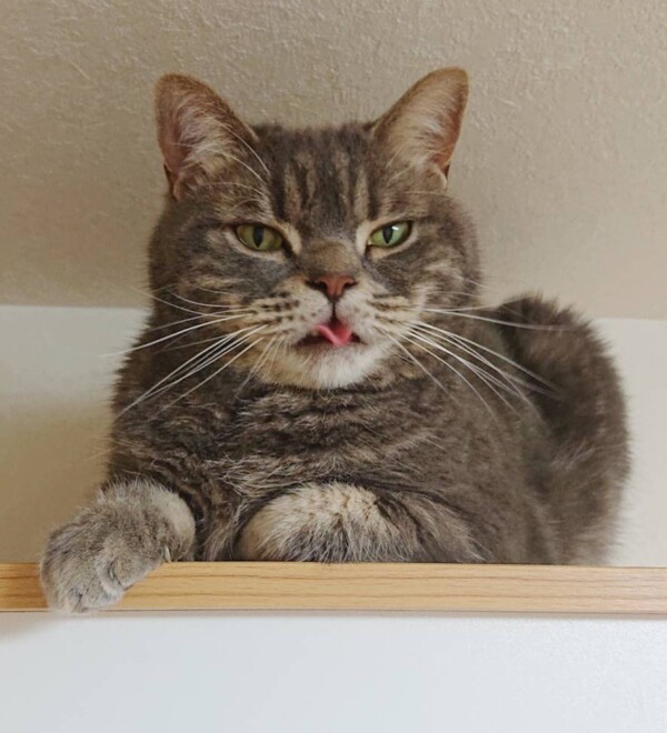 ごうたろう君・あずきちゃん☆（前半）