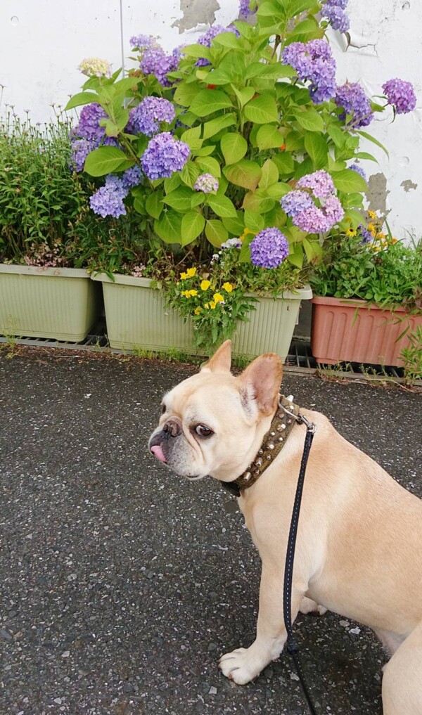 9日ぶりジョナ君&ロック君☆