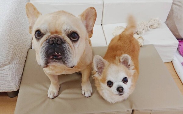 たくさん我慢したロック君・ジョナ君☆