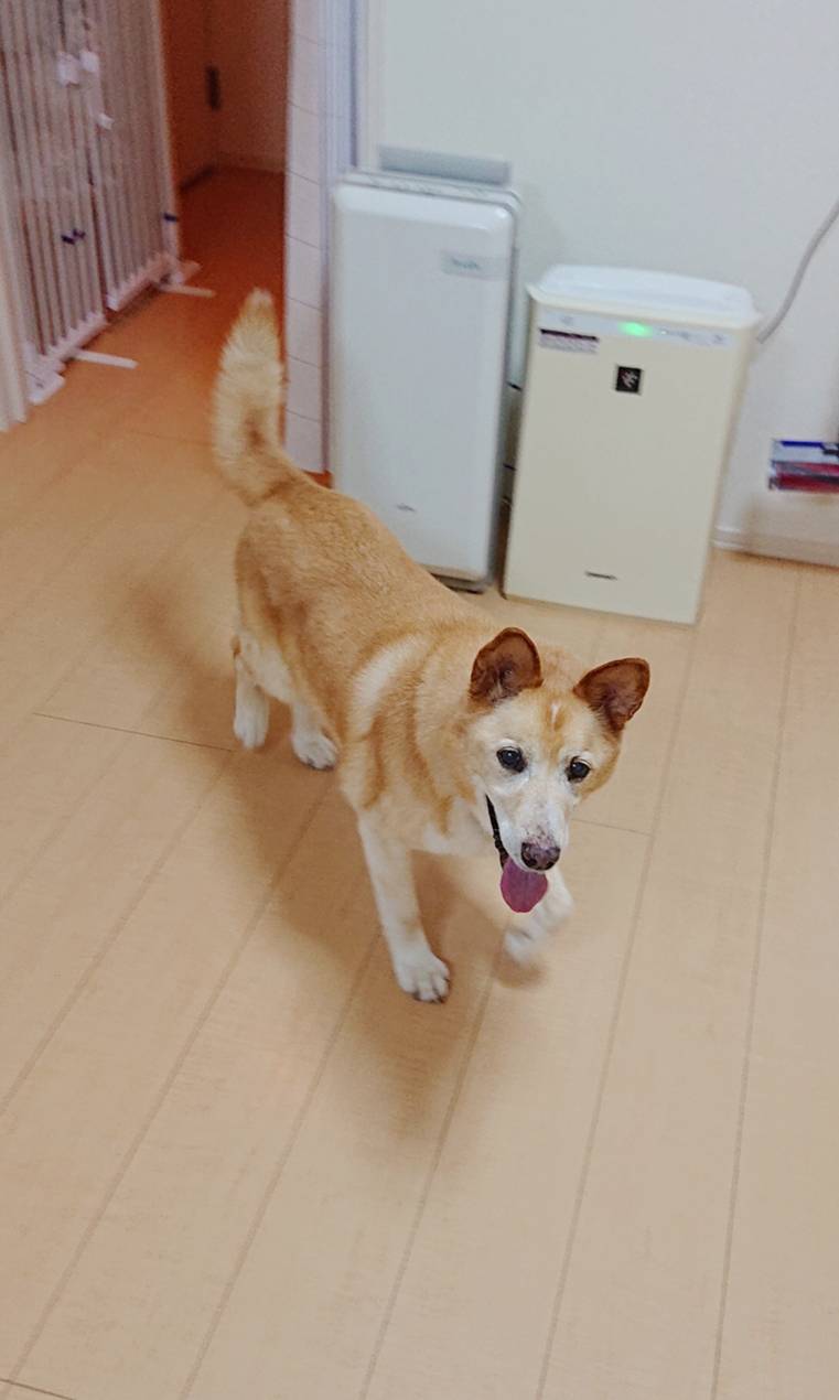 1週間ぶりりょう君☆