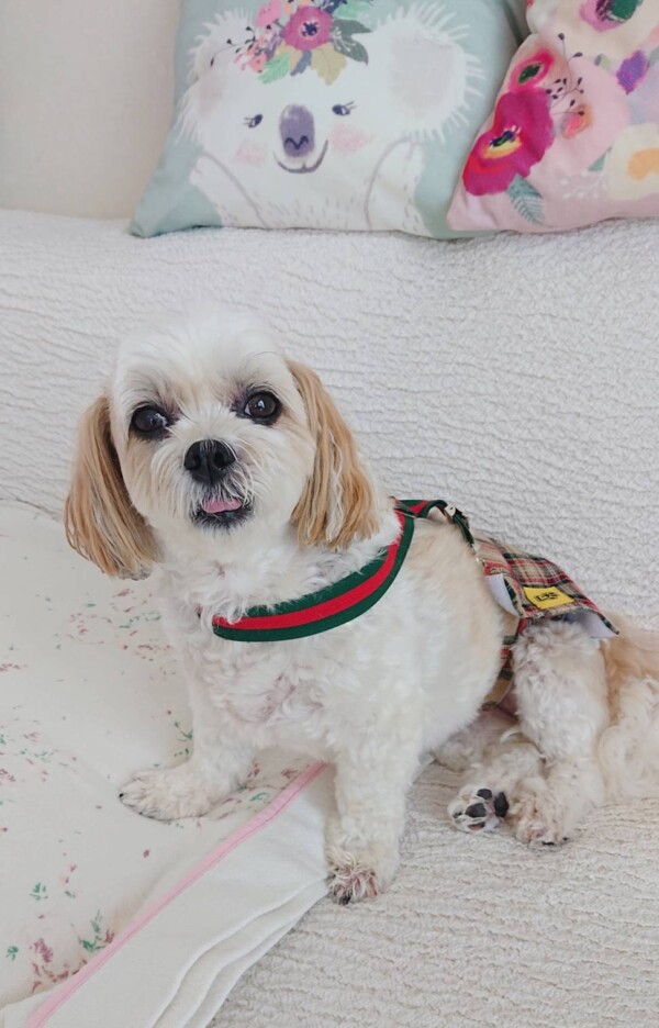 皆に優しいミルク君☆