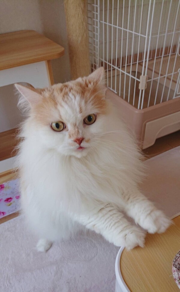 一歩進んだ関係のモモ君☆