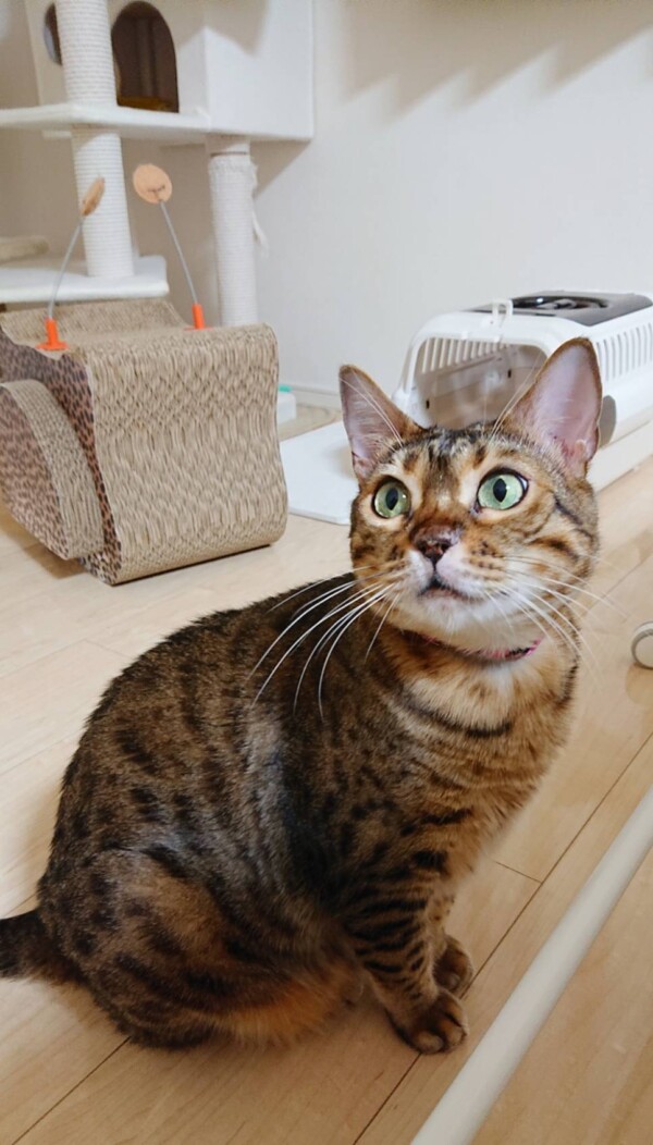 元気メルちゃん・ロゼ君☆