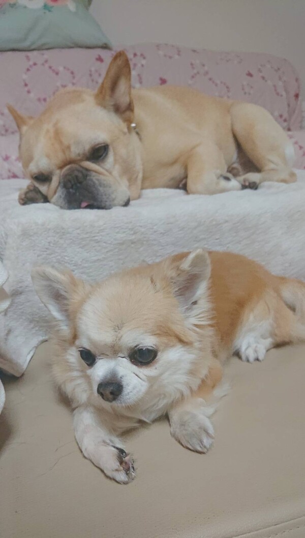 バテ気味のロック君・ジョナ君☆