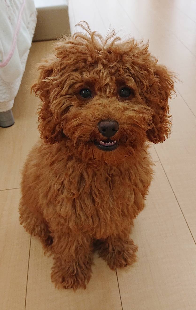 初ホテルむぎちゃん☆