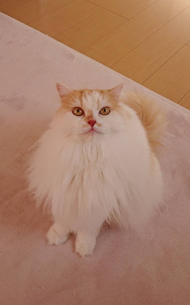 帰りますアピールのモモ君☆