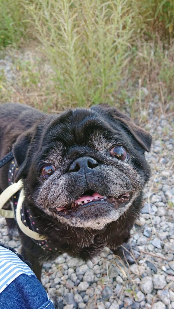 2年ぶりチャド君☆