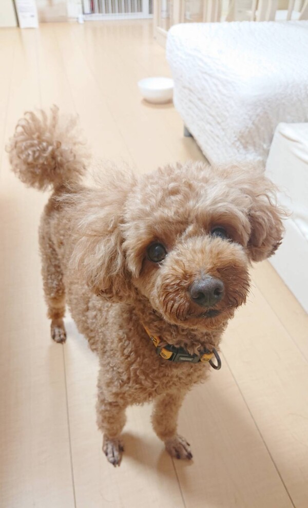 いじめっ子カイ君☆