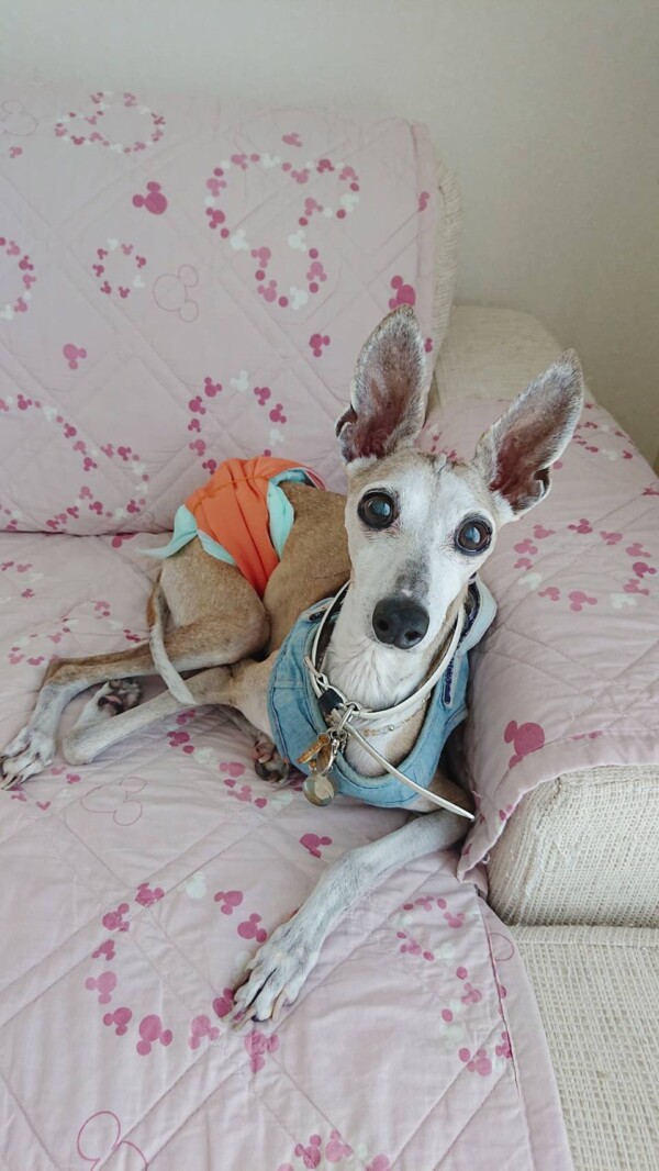 レベル違いの寒がりナッツ君☆