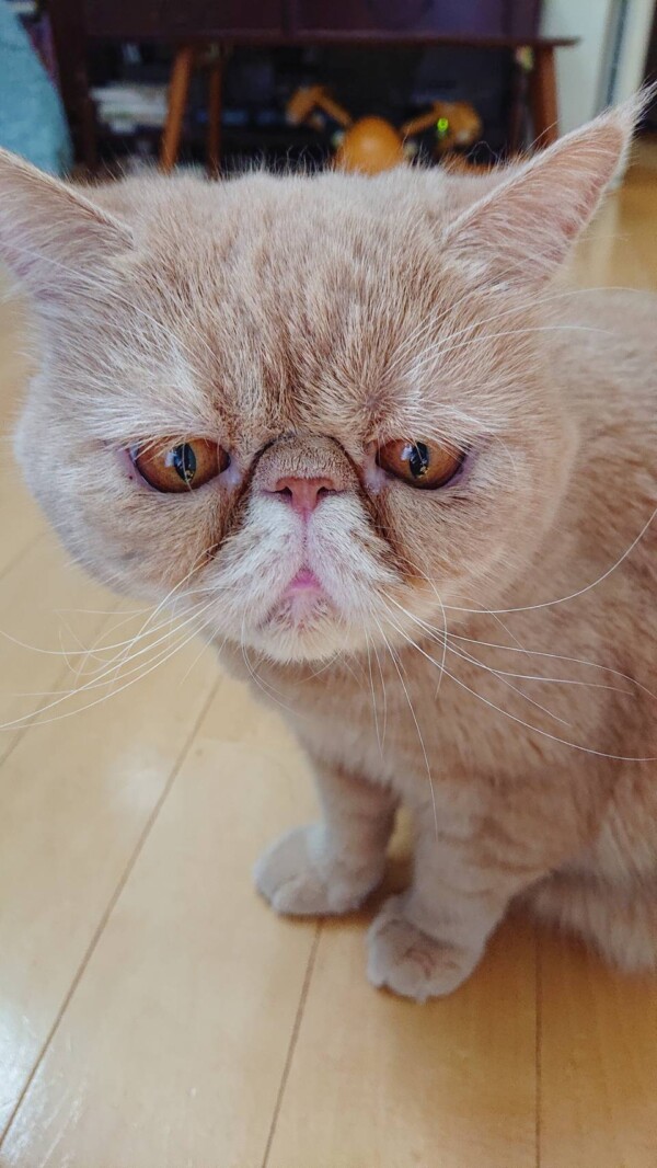 変化を見せるまめた君・もちた君☆