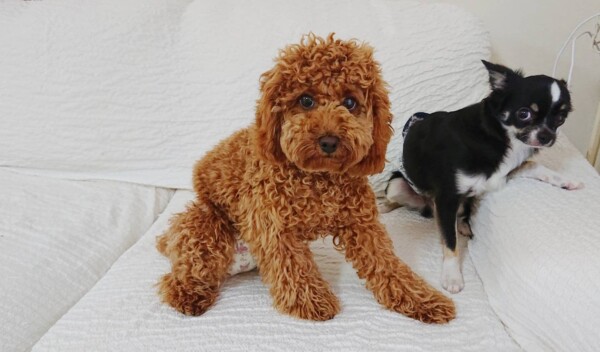 初お泊りむぎちゃん☆