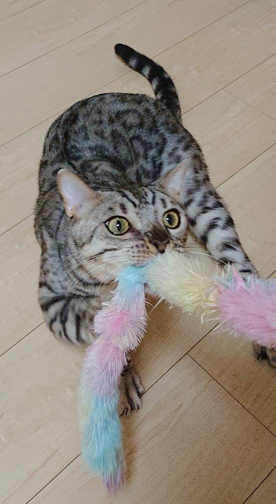 2日後のメルちゃん・ロゼ君☆