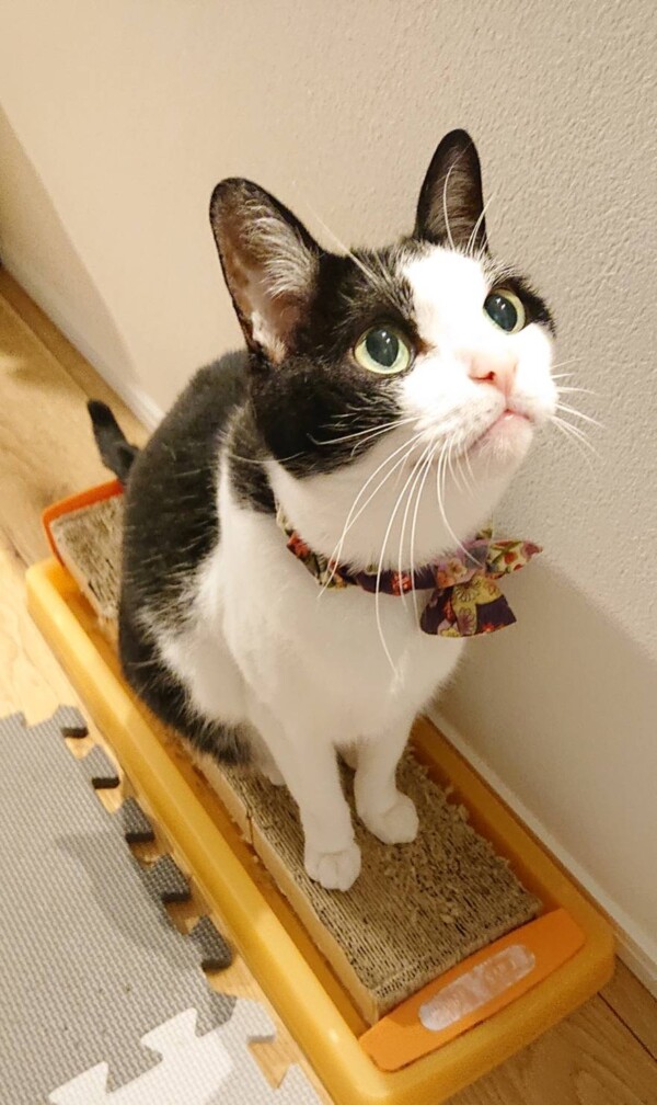 1週間ぶりクウ君・カイ君☆