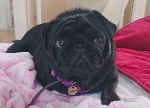 社会化成長中もずくちゃん☆