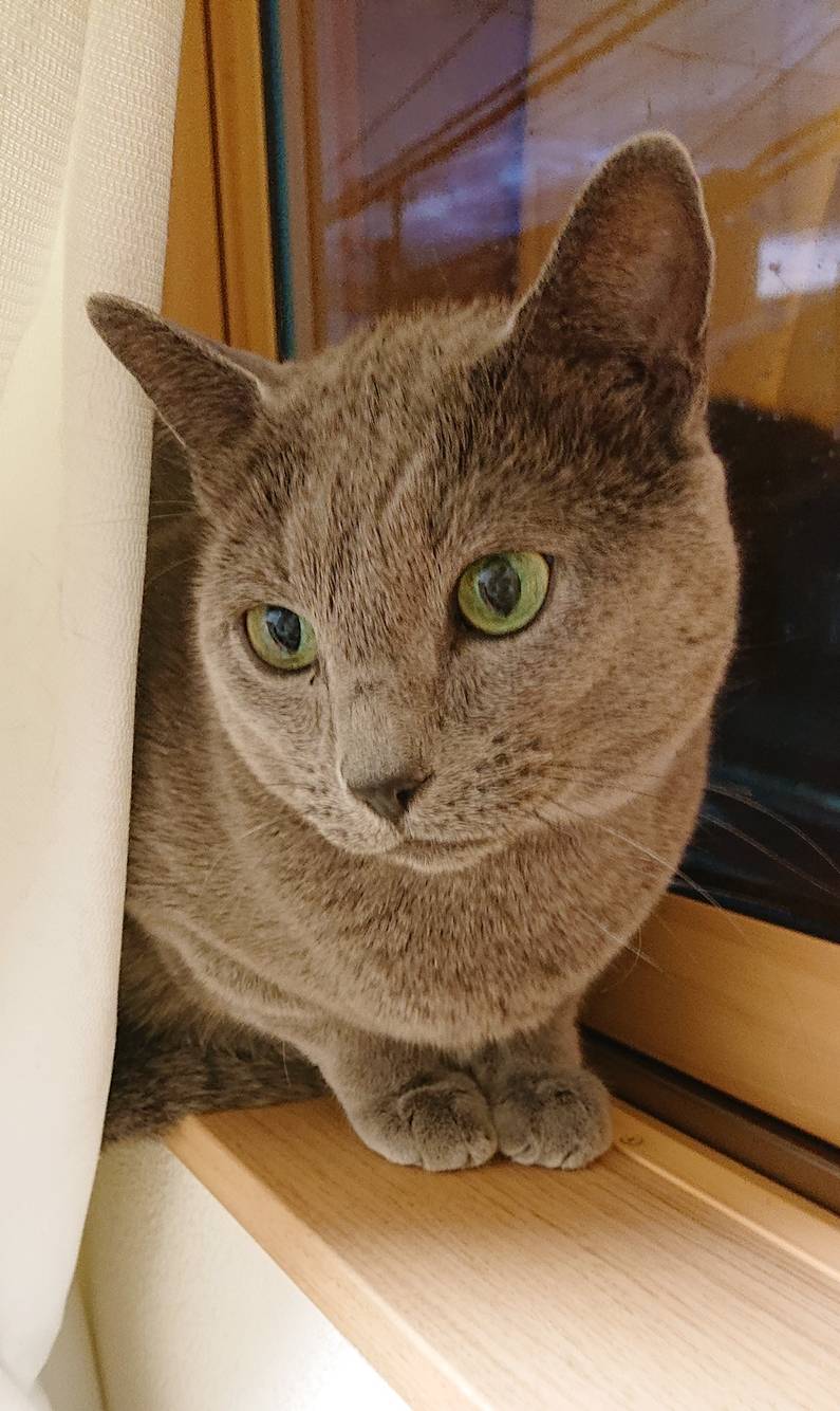 覚えているプルシェンコ君・スピカちゃん☆