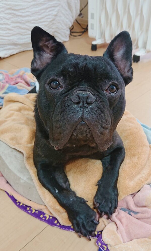 リピートやまと君☆