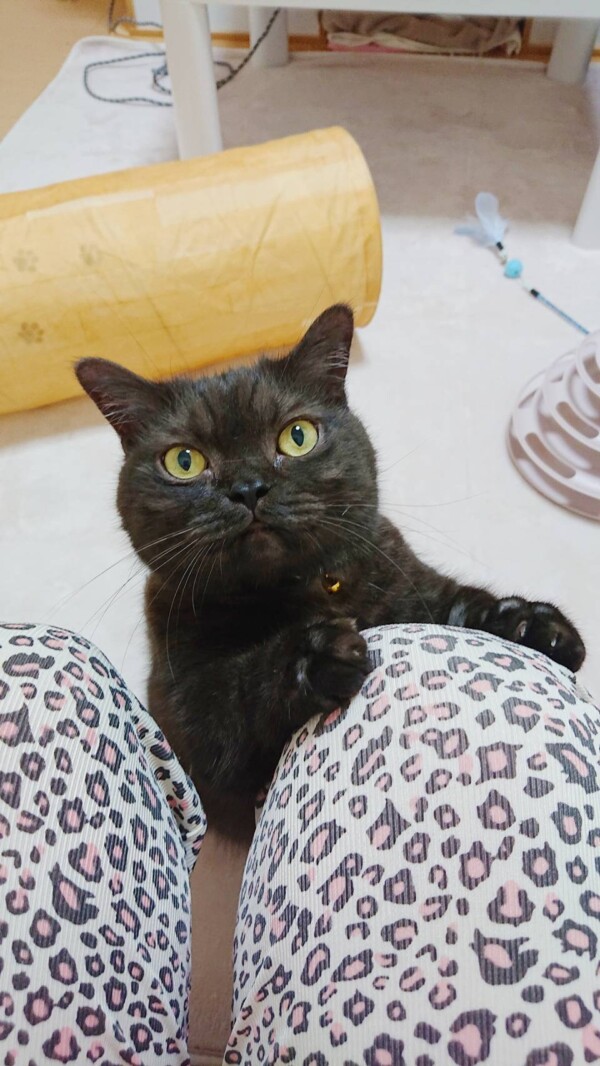 甘えん坊むっく君☆